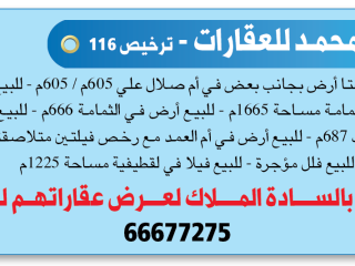 Ain Muhammad Real Estate - License 116