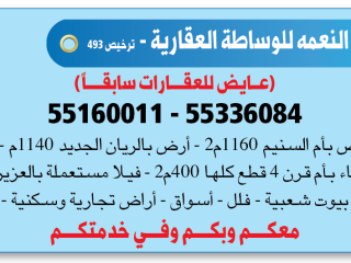 Al Jazeera Al Naama Real Estate Brokerage - License 493