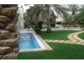 al-hadeer-for-cultivation-and-decor-small-1
